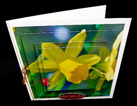 Spring Time - Eostra - Easter - Daffodil Ladybird Insert+tag by Diane  Hitchcox