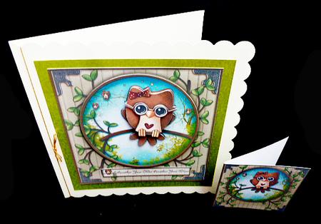Hoot Hoot Hooray by Diane  Hitchcox