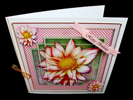 Dahlia Pink with Polkadots Kit by Diane  Hitchcox
