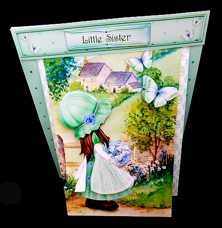 3 in 1 Butterfly Lane by Diane  Hitchcox
