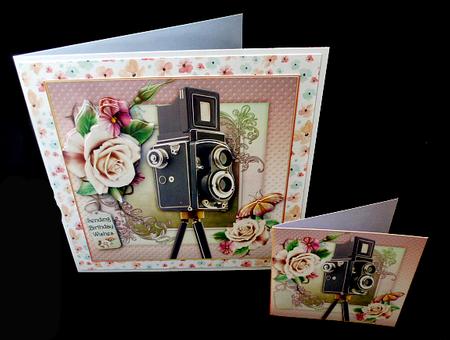 Picture Perfect by Diane  Hitchcox