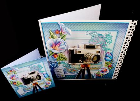 Photogenic by Diane  Hitchcox