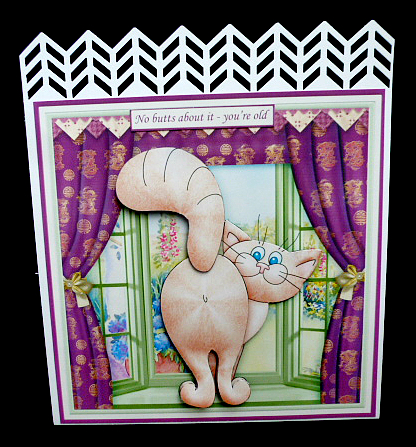 Cute Butt Humorous for All Occasions 8x8 Decoupage Mini Kit by Diane  Hitchcox