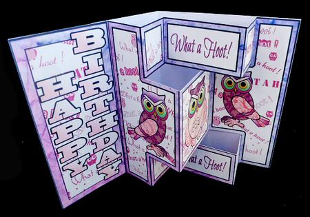 Shutter Surprise Card - What a Hoot (pink) by Diane  Hitchcox