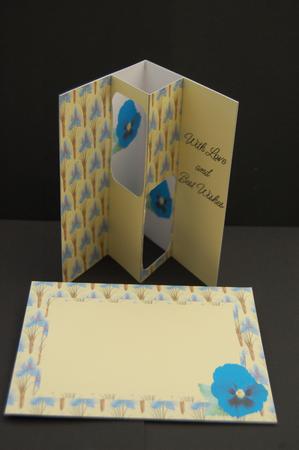 Blue Pansy Internal Window Card Kit by Diane Moore