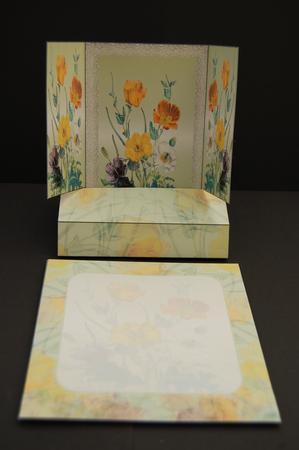 Spring Flowers Gatefold Pop Up by Diane Moore
