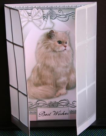 Gorgeous White Fluffy Cat, with White Bow, French Gatefold by Diane Sixsmith