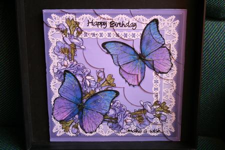 8 x 8 Butterflies and Flowers on Lace Scalloped Corner Kit Featured Gallery Photo