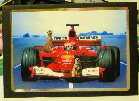 Meerkats Go Grand Prix F1 Racing - Oval Pyramid Card by Diane Tune