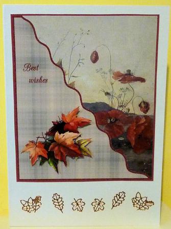 Autumn Leaves Featured Gallery Photo