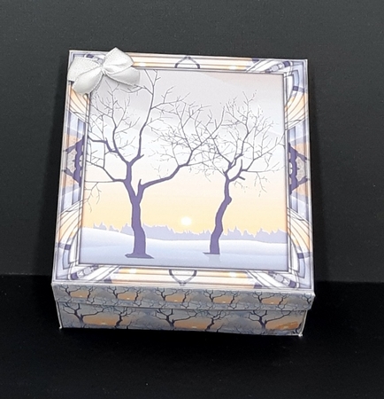 GIFT BOX - WINTER TREES by Diane  Vermeer