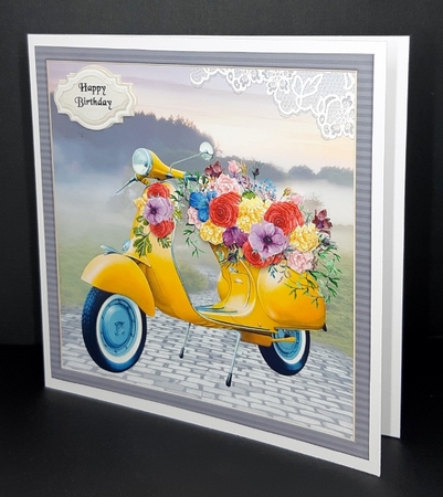 Scooter of Flowers Series by Diane  Vermeer