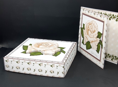 Cream Rose Notelet Set by Diane  Vermeer