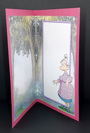 Granny Dudess Insert by Diane  Vermeer