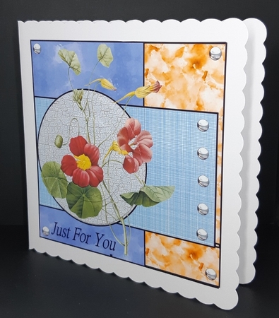 Nasturtiums by Diane  Vermeer