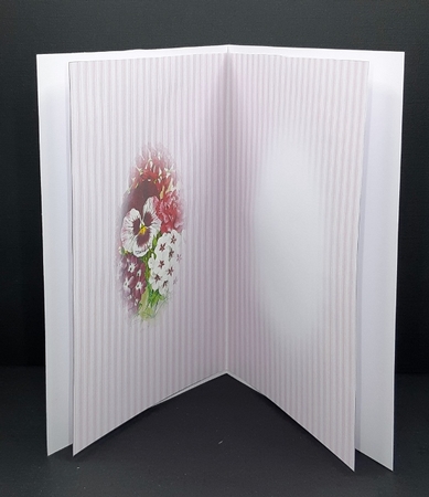 seed packet 1 insert by Diane  Vermeer