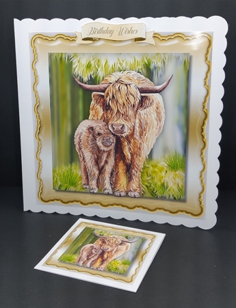 Mom and Baby Highland Coo by Diane  Vermeer