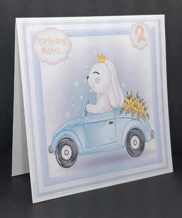 8, Princess Rabbit Card Fronts  by Diane  Vermeer