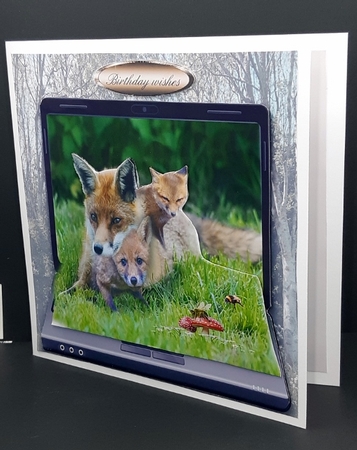 fox family by Diane  Vermeer