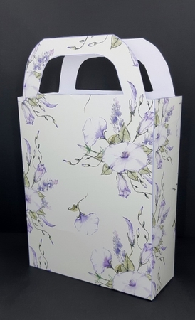 Morning glory gift bag 2 by Diane  Vermeer