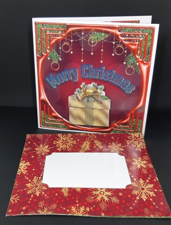 Modern Christmas by Diane  Vermeer