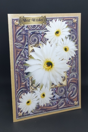 Cactus Flowers on Tribal Frame by Diane  Vermeer