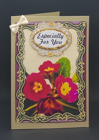 Primrose in Fancy Frame Floral Topper & Blank Insert by Diane  Vermeer