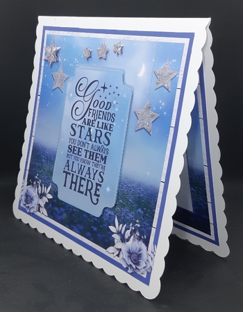 FRIENDS ARE LIKE STARS by Diane  Vermeer