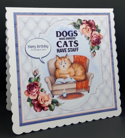 CATS HAVE STAFF #2 quick card by Diane  Vermeer