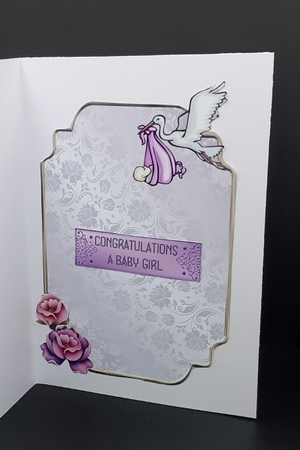 Matching insert for the design sheet - Baby Girl 1 by Diane  Vermeer