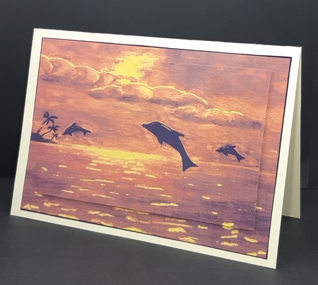 the dance of the Dolphins by Diane  Vermeer