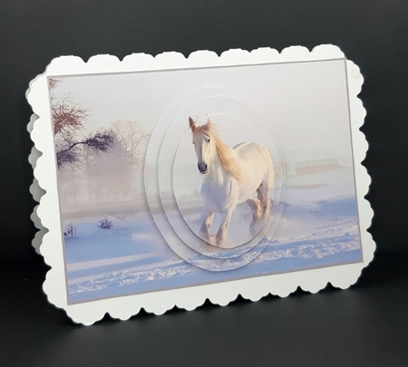 Horse running in the snow by Diane  Vermeer