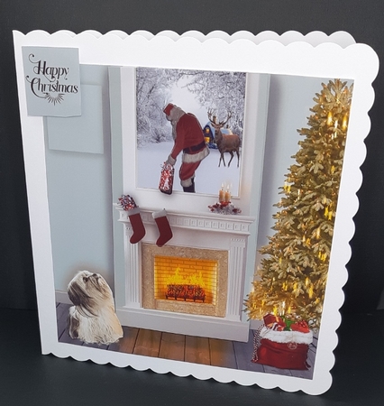 Santa has arrived by Diane  Vermeer