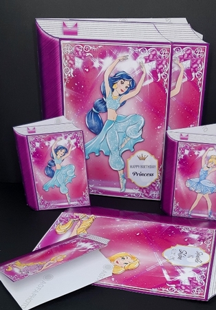 Pink Princess Ballerina Book BUNDLE-2 by Diane  Vermeer