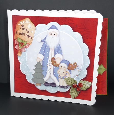 Santa by Diane  Vermeer
