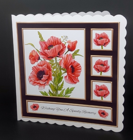 Lovely Poppies - Get Well  by Diane  Vermeer
