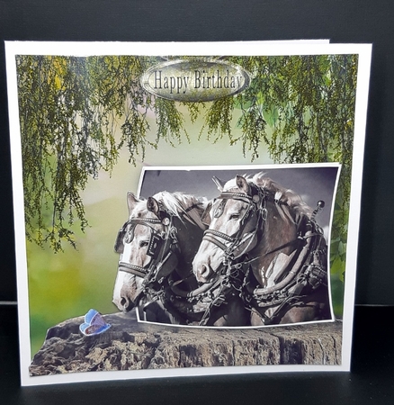 shire-horses by Diane  Vermeer