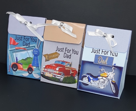 3 Gorgeous Gift Sacks-Just For You Dad-no.1 by Diane  Vermeer
