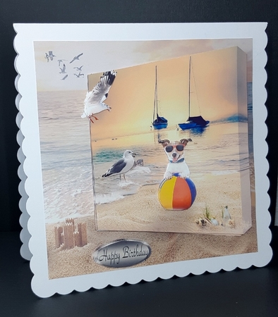 at the beach by Diane  Vermeer