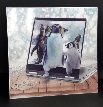 penguins by Diane  Vermeer