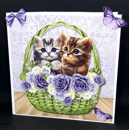 BK Kittens In baskets 4 MK by Diane  Vermeer