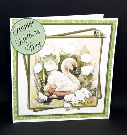 Swan Birthday #3 by Diane  Vermeer