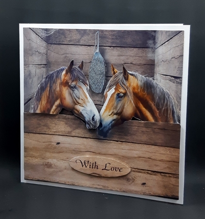 in the stable by Diane  Vermeer