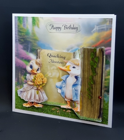 quacking adventures by Diane  Vermeer