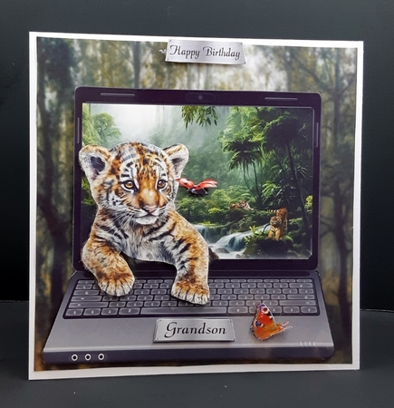 inquisitive cub by Diane  Vermeer