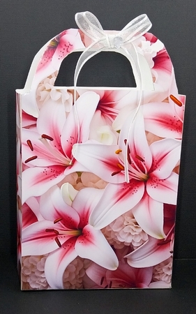 Lilies gift bag 1 by Diane  Vermeer