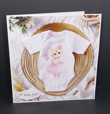 baby girl by Diane  Vermeer