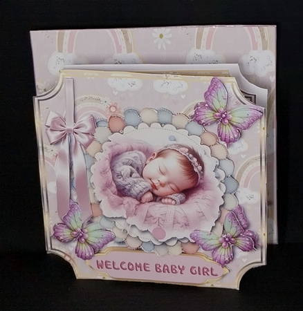 Sweet Baby Girl by Diane  Vermeer