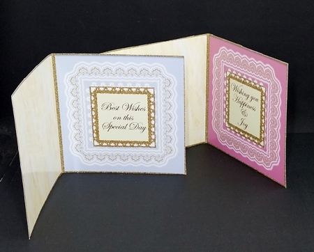 2 Blank Double Side Inserts and Greetings Set 1 by Diane  Vermeer
