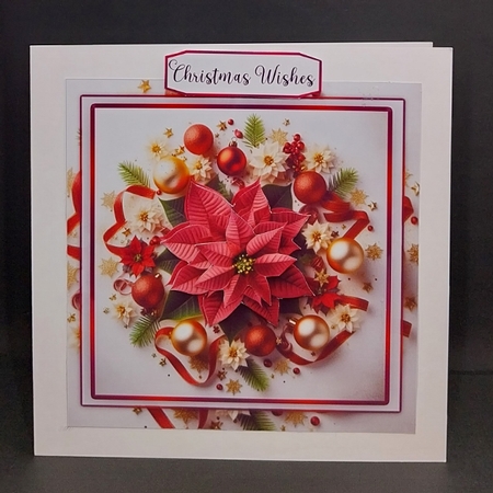 Red Christmas Pointsettia  by Diane  Vermeer